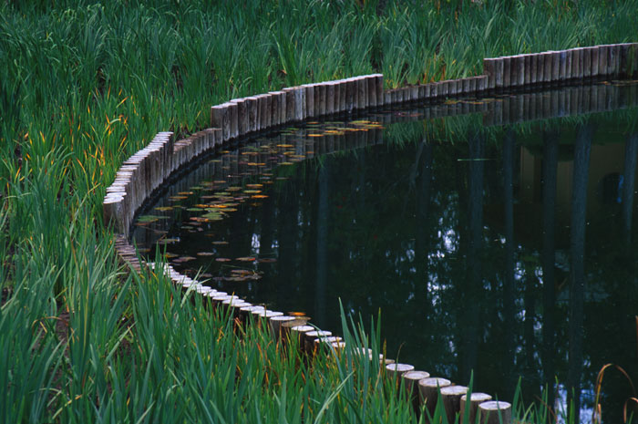 image: japanese garden