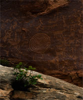 rock art