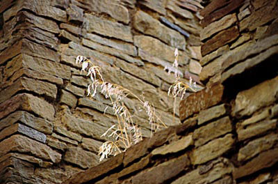 Anasazi Images