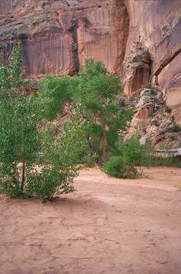 Anasazi Images