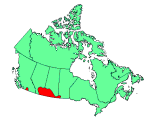 Burrowing Owl Range Map